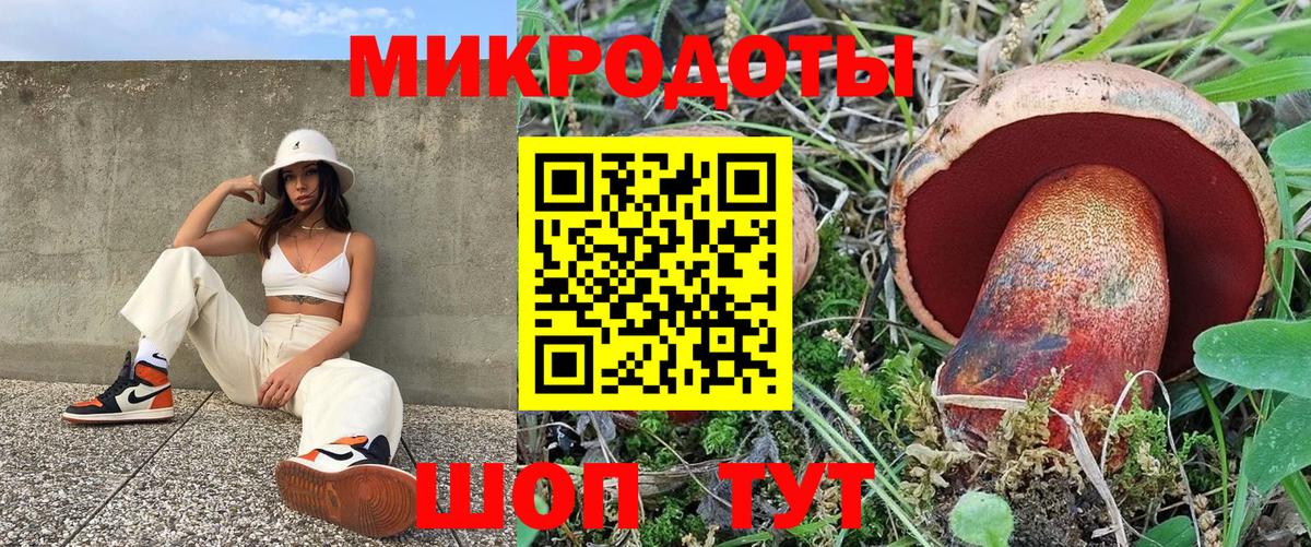 Галлюциногенные грибы прущие грибы  Галлюциногенные грибы прущие грибы  где купить   Нижневартовск  Вход с VPN 