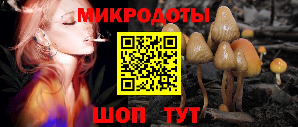 Псилоцибиновые грибы Cubensis Нижневартовск